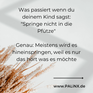 Kind3